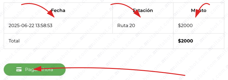 Resultado de Caminos de las Sierras con fecha, estación, monto, total y acceso al pago