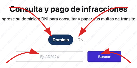 Formulario de Policía Caminera del Chaco para consultar multas por dominio o DNI