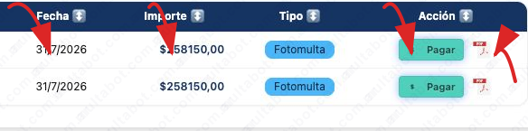 Resultado de multas de Chaco con fecha, importe, tipo, pago y descarga de PDF